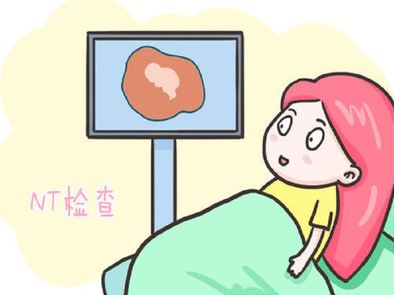 NT檢查孕前期檢查流程 B超檢查(圖2)