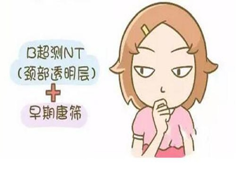 NT檢查孕前期檢查流程 B超檢查(圖3)