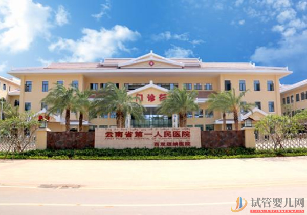 昆明試管嬰兒哪個醫院好？成功率排名參考(圖2)