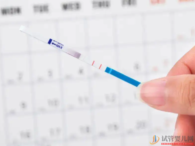 女性的成熟卵泡并不一定是在排卵日當(dāng)天排出的(圖3)