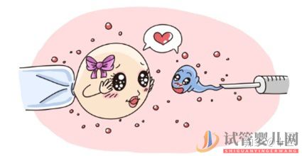 一代、二代、三代試管嬰兒究竟有什么區(qū)別(圖3)