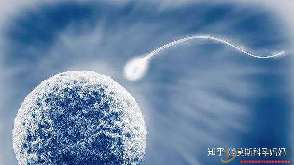 三代試管嬰兒的區(qū)別及如何選擇(圖2)