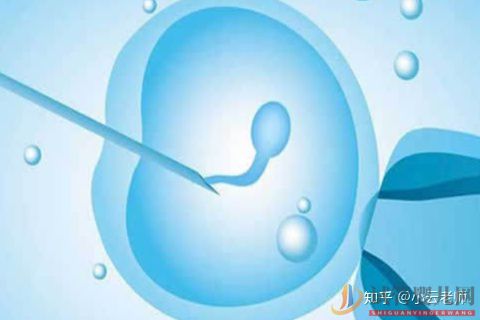 全面解讀一代、二代、三代試管嬰兒的區別(圖3)