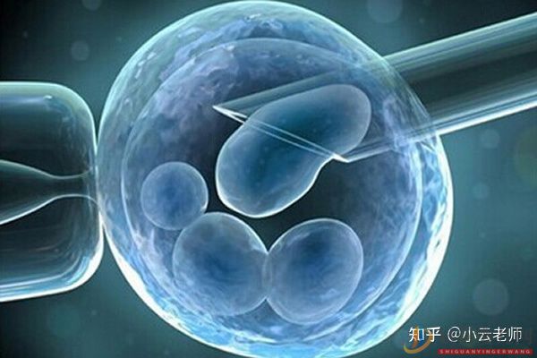 全面解讀一代、二代、三代試管嬰兒的區別(圖2)