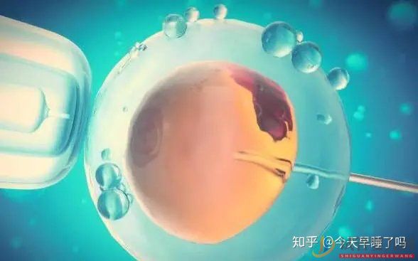 西昌第三代試管嬰兒技術(shù),有哪些優(yōu)點(diǎn)和缺點(diǎn)(圖1)