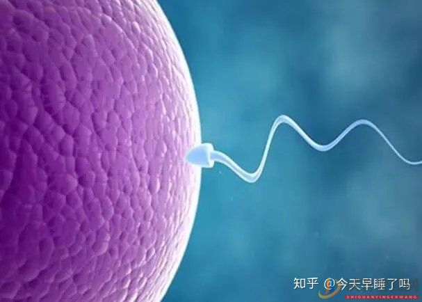 西昌第三代試管嬰兒技術(shù),有哪些優(yōu)點(diǎn)和缺點(diǎn)(圖5)