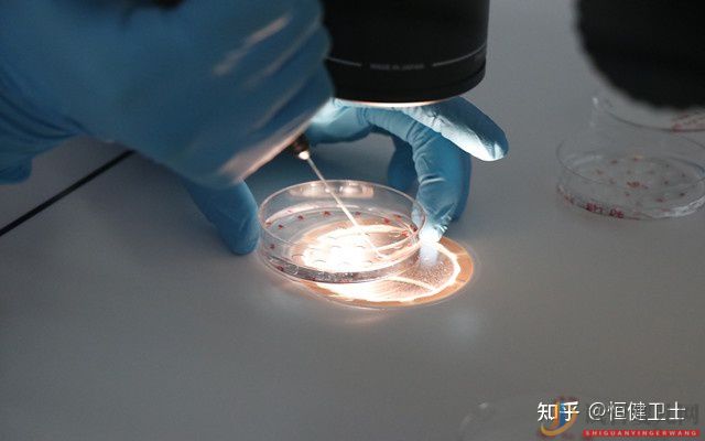 銀川做三代試管大約多少錢(qián)一次(圖2)