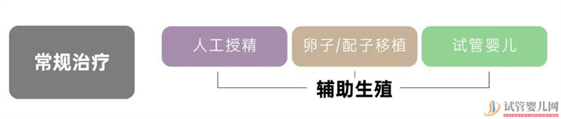 試管嬰兒可以報(bào)銷了,你可能需要這篇輔助生(圖2)