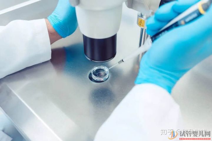 成都試管嬰兒花費高,醫保可以報銷嗎_買哪種試管嬰兒(圖2)