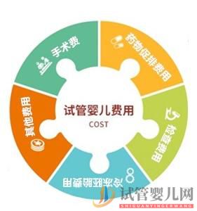 昆明做一次完整的試管嬰兒周期大概需要多少錢？(圖1)