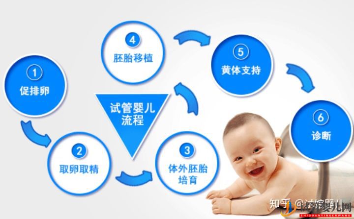 昆明試管嬰兒費(fèi)用一般多少錢(qián)_這些事情你必須要知道(圖6)