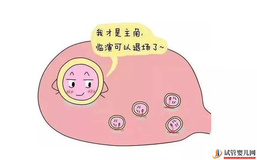 廣州試管促排是“殺雞取卵”？取卵的數(shù)量誰來決定_(圖1)