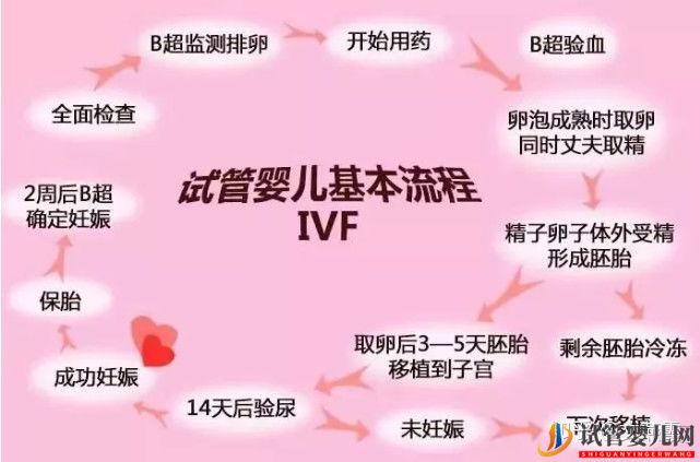 試管嬰兒全流程介紹(圖1)