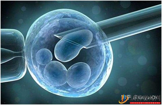 凍胚移植的流程概述_子宮內膜及身體準備非常重要(圖2)