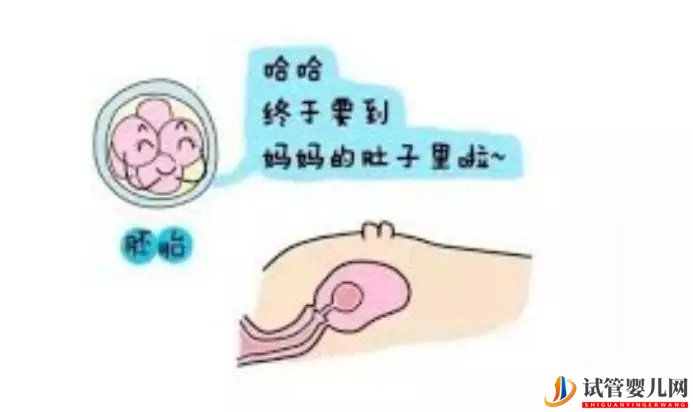 泰國做試管，胚胎移植卻不著床，應(yīng)該怎么辦？(圖1)
