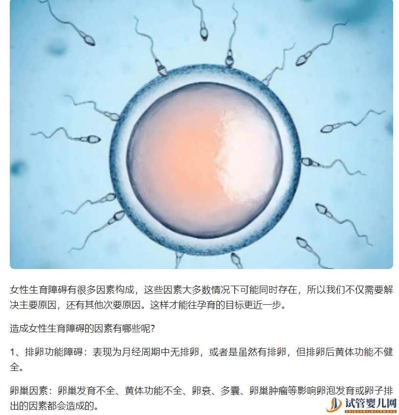 試管媽媽別著急：dhea吃多久能試管？做試管dhea一天該吃幾片？(圖4)