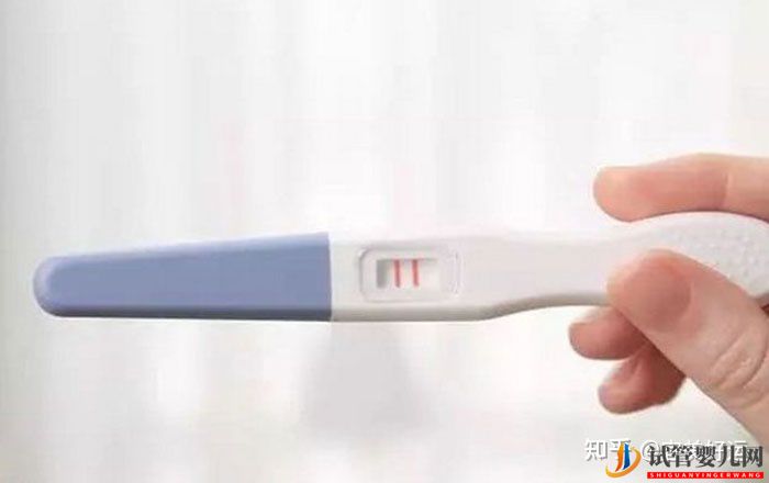 12步看懂試管嬰兒全流程,不用在擔(dān)心不知道怎么做了(圖6)