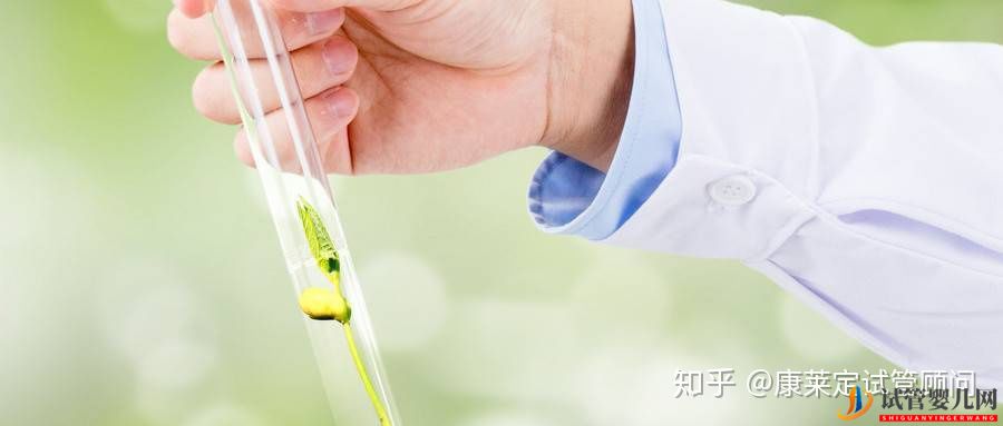 做試管嬰兒最詳細的講解,全部只要七步就能完成!(圖4)