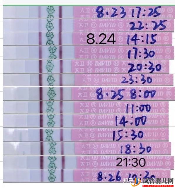 備孕懷男孩_兒子的科學(xué)方法如下(圖4) 備孕懷男孩_兒子的科學(xué)方法如下(圖4)