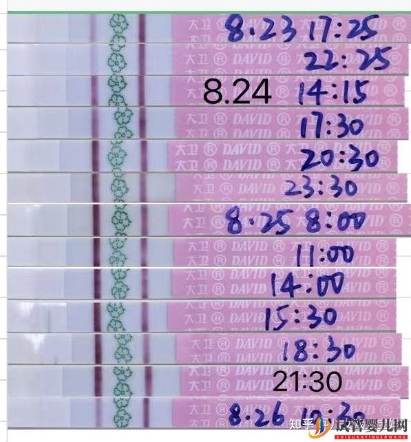 備孕懷男孩_兒子的科學(xué)方法如下(圖3) 備孕懷男孩_兒子的科學(xué)方法如下(圖3)