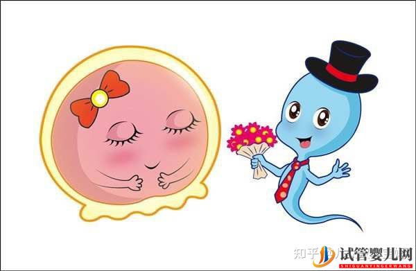 備孕懷男孩_兒子的科學(xué)方法如下(圖2) 備孕懷男孩_兒子的科學(xué)方法如下(圖2)