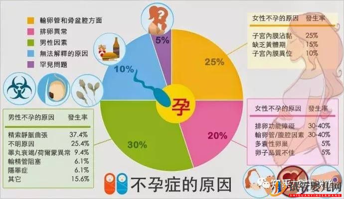 試管嬰兒的一個基本流程和周期時間(圖5) 試管嬰兒的一個基本流程和周期時間(圖5)
