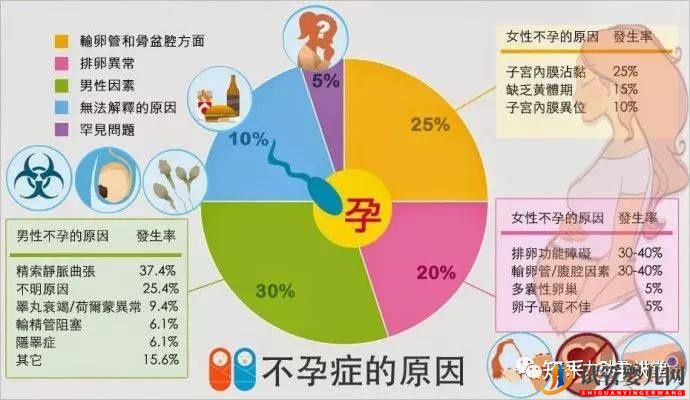 試管嬰兒的一個基本流程和周期時間(圖6) 試管嬰兒的一個基本流程和周期時間(圖6)
