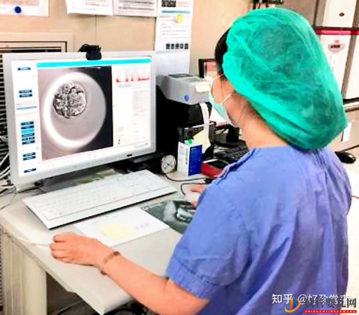 試管嬰兒流程步驟(圖1) 試管嬰兒流程步驟(圖1)