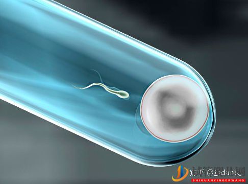 試管嬰兒流程太復雜_5個步驟一眼看懂(圖2) 試管嬰兒流程太復雜_5個步驟一眼看懂(圖2)