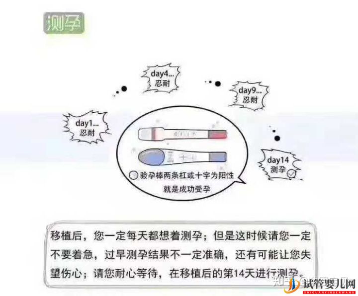 試管嬰兒流程圖,拿走不謝(圖7)