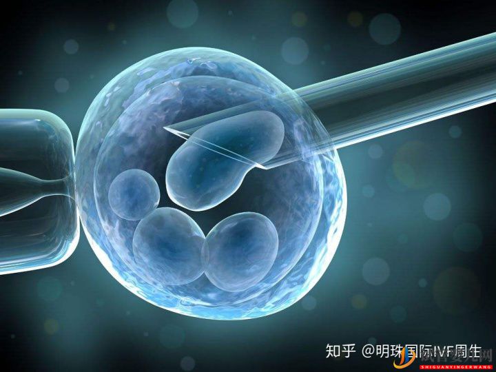 淄博試管嬰兒流程中,取卵并不是最疼的那一個!(圖3)