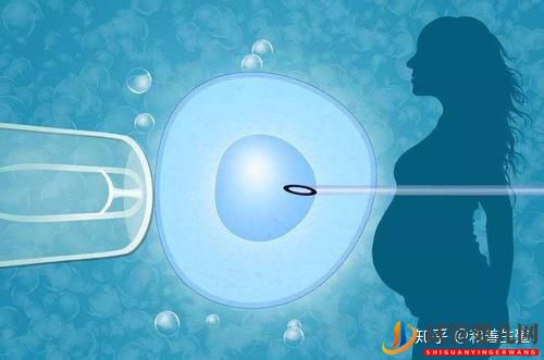 做試管嬰兒的全部流程有多少(圖2) 做試管嬰兒的全部流程有多少(圖2)