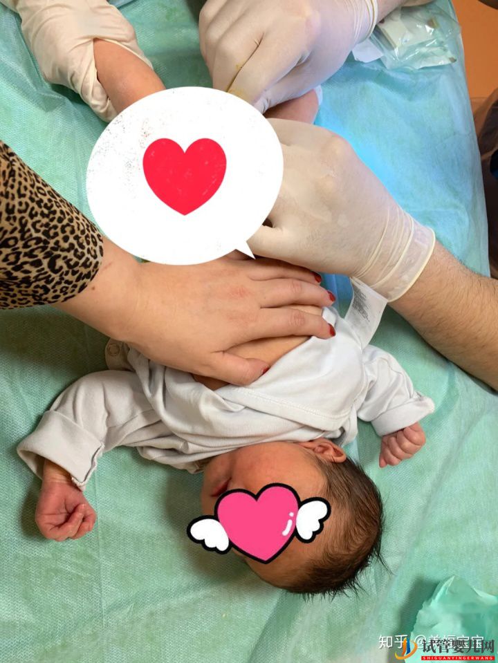 一分鐘教你讀懂,試管嬰兒全流程(圖1) 一分鐘教你讀懂,試管嬰兒全流程(圖1)