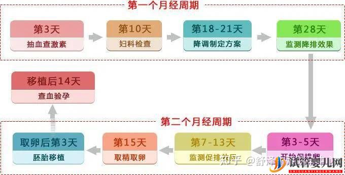 一個(gè)試管嬰兒周期多長(zhǎng)時(shí)間,具體流程怎么樣(圖2) 一個(gè)試管嬰兒周期多長(zhǎng)時(shí)間,具體流程怎么樣(圖2)