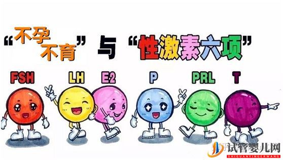 試管嬰兒_試管前看看你的雌性激素六項正常嗎(圖2) 試管嬰兒_試管前看看你的雌性激素六項正常嗎(圖2)