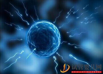 試管嬰兒費(fèi)用的高低是根據(jù)患者體質(zhì)不同收取嗎(圖1)