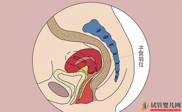 試管嬰兒并不是人人都能做，要符合哪些條件？成功后要注意什么？(圖1)