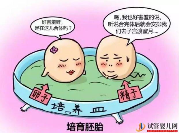 試管嬰兒進(jìn)行時(shí)，老公們應(yīng)該如何做？(圖1)