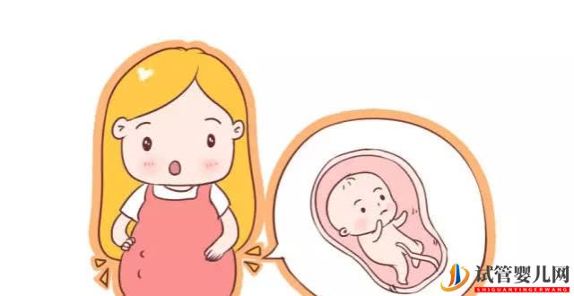 試管嬰兒促排卵后要怎么保養卵巢(圖1)