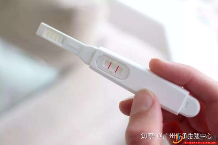 做試管很痛苦_生殖科醫生告訴你做試管的全過程(圖6)