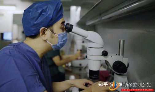 做試管嬰兒的全過程,一切順利的話(圖5) 做試管嬰兒的全過程,一切順利的話(圖5)