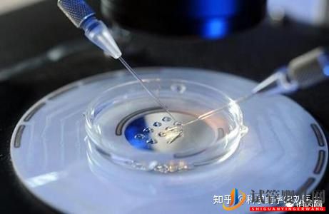 做試管嬰兒的全過程,一切順利的話(圖7) 做試管嬰兒的全過程,一切順利的話(圖7)