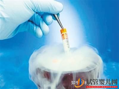 做試管嬰兒的全過程,一切順利的話(圖12) 做試管嬰兒的全過程,一切順利的話(圖12)