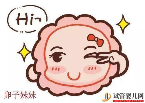 白城做試管嬰兒要取多少卵子？(圖1)