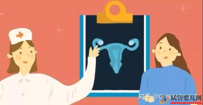 做試管大概需要多少錢(圖1) 做試管大概需要多少錢(圖1)