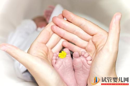 試管嬰兒胚胎移植后，有哪些因素會影響著床？(圖1)