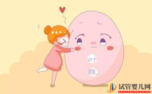 試管嬰兒前應如何調理準備(圖1) 試管嬰兒前應如何調理準備(圖1)