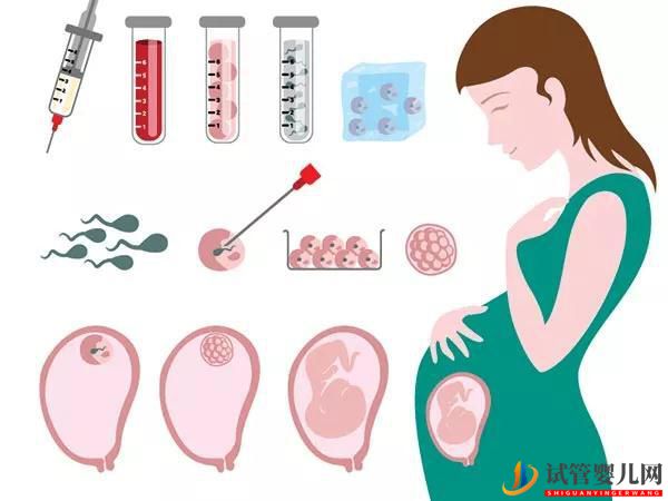 做試管嬰兒，胚胎移植前后要注意什么？(圖2)