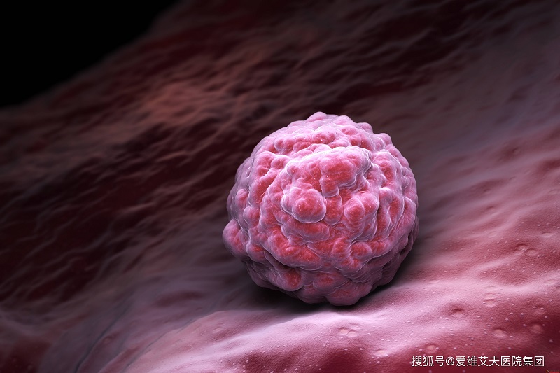 做試管嬰兒，雙胚胎移植的成功率是單胚胎的2倍嗎(圖1)