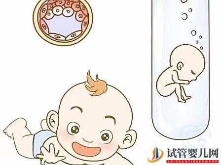 做試管嬰兒男人需要檢查什么？做試管嬰兒前男性的檢查項目(圖1)